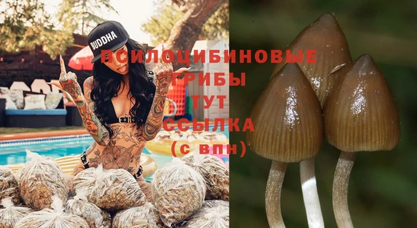 каннабис Алзамай