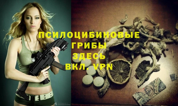 индика Алексеевка
