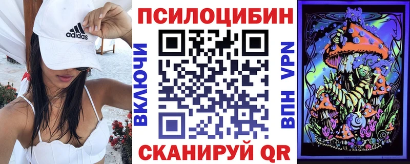 Галлюциногенные грибы Psilocybine cubensis  Ишим 